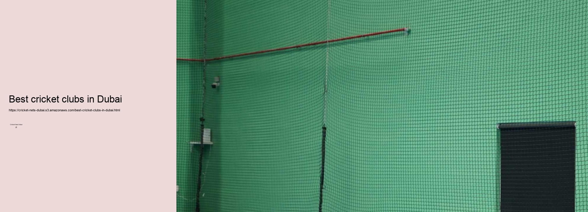 What is Making Cricket Training More Efficient in Dubai? Unveiling the Role of Cricket Nets!