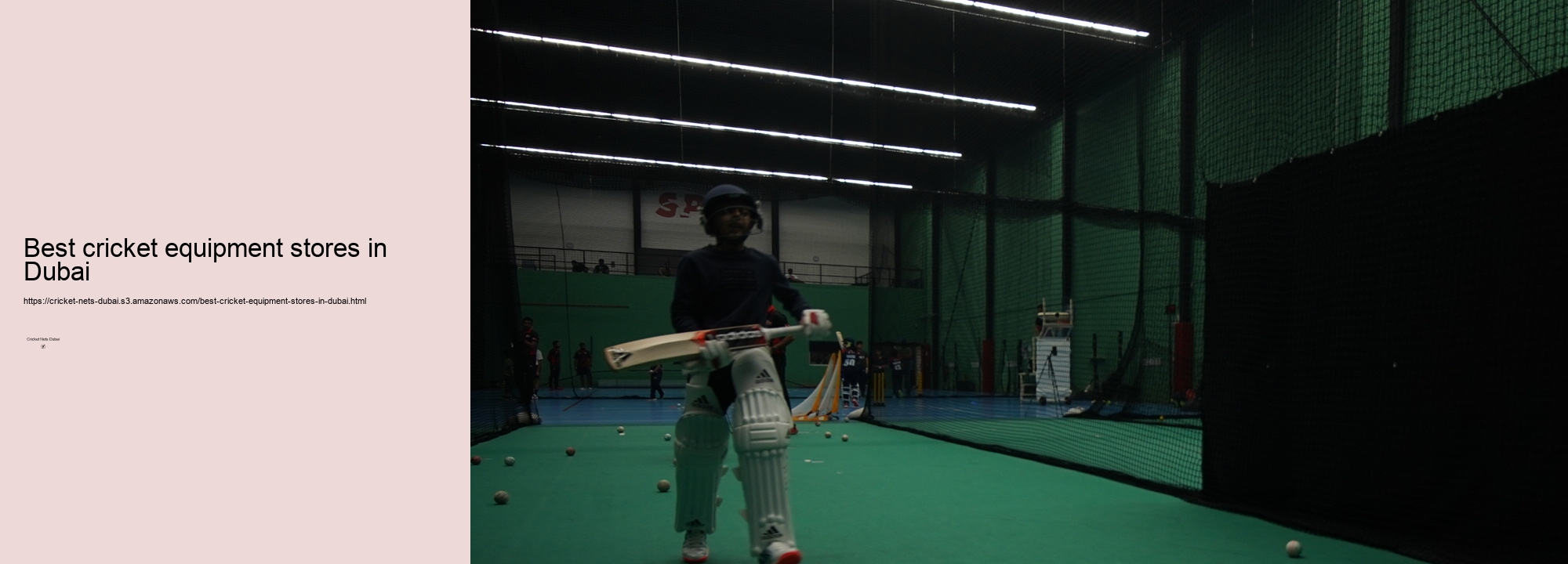 The Influence of International Players on the Popularity of Cricket Nets in Dubai.