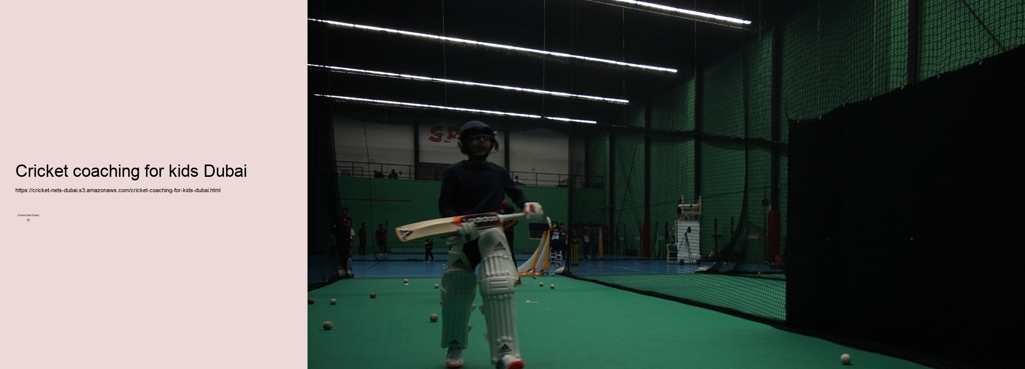 How can our Durable and Affordable Cricket Nets Revolutionize your Training in Dubai?1. The Evolution and Growth of Cricket Nets in Dubai