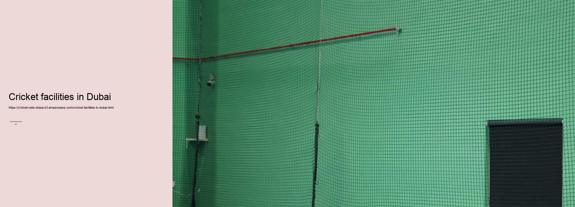 How to Select the Perfect Cricket Net for Your Needs in Dubai?