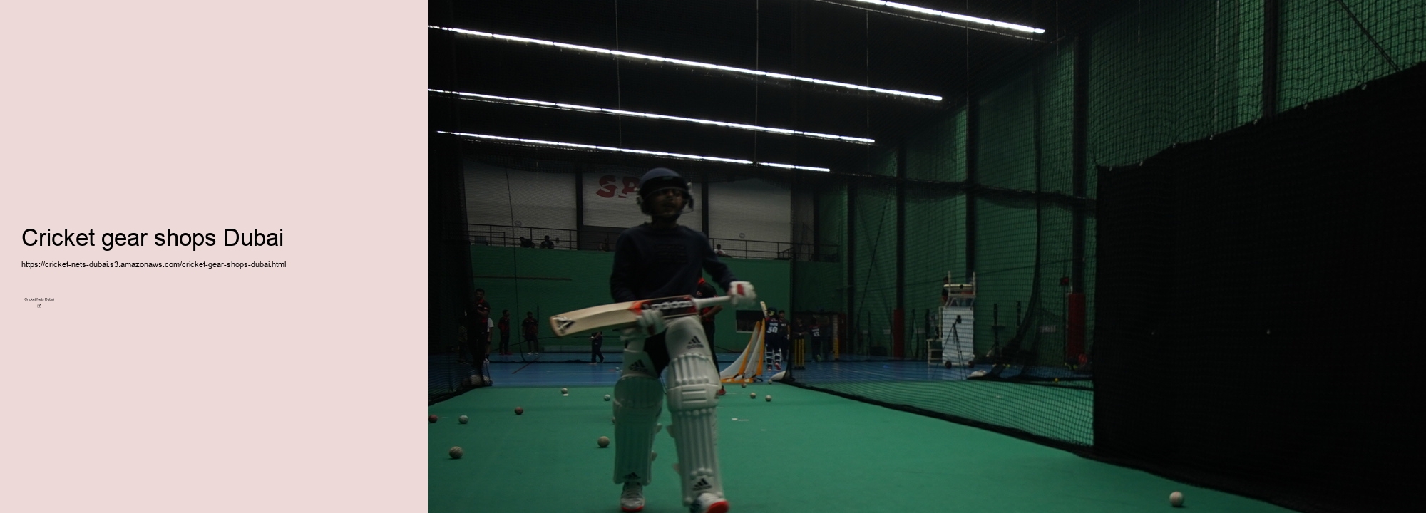 Exploring the Top Cricket Net Facilities in Dubai: A Comprehensive Guide