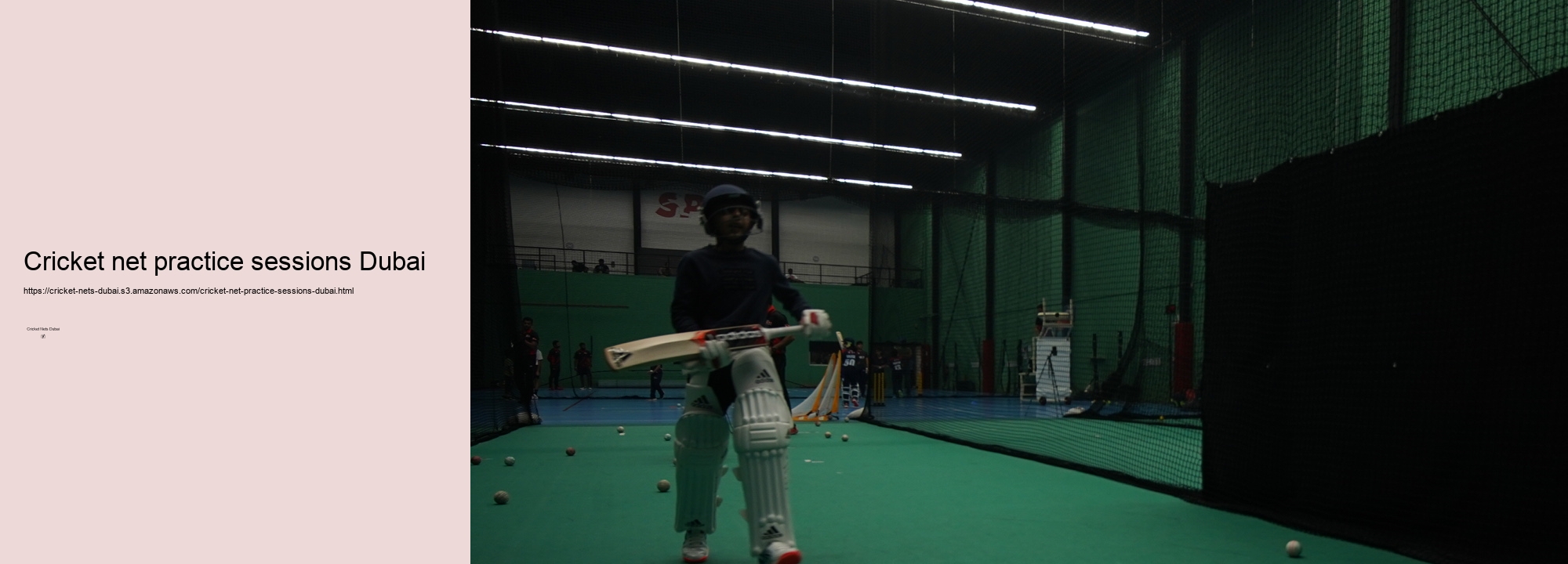 Exploring the Top Cricket Net Facilities in Dubai: A Comprehensive Guide