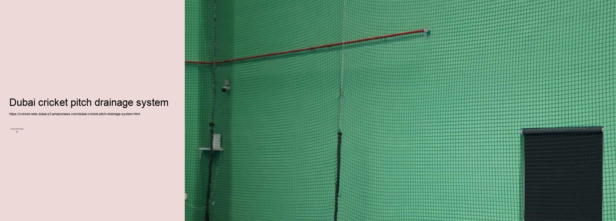 Exploring the Top Cricket Net Facilities in Dubai: A Comprehensive Guide